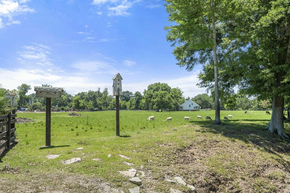 5474 Bayou Paul Rd
