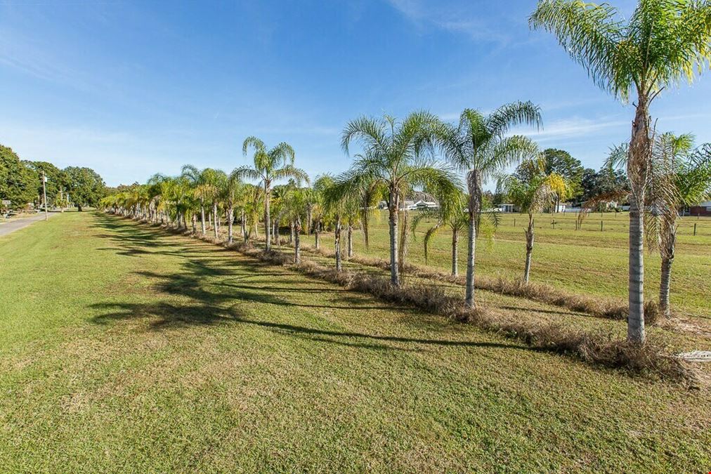 Shell Road Development