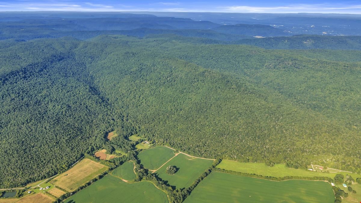 West Dempsey 339 Acres