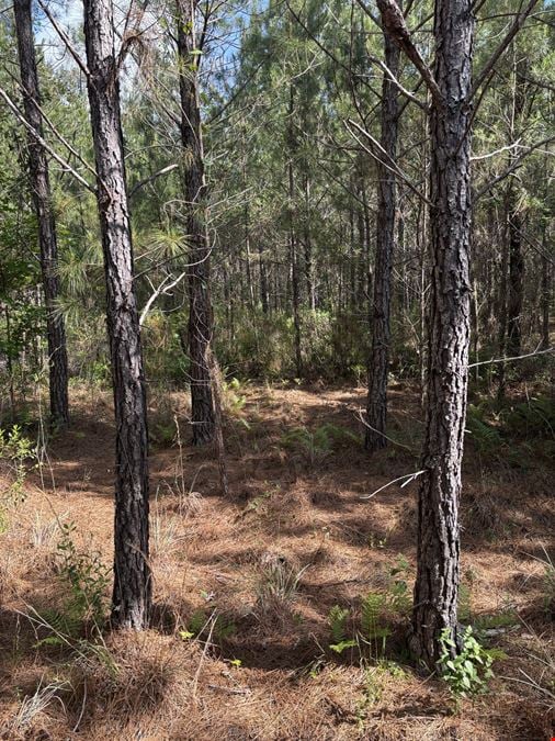 Columbia County Hunting and Recreation
