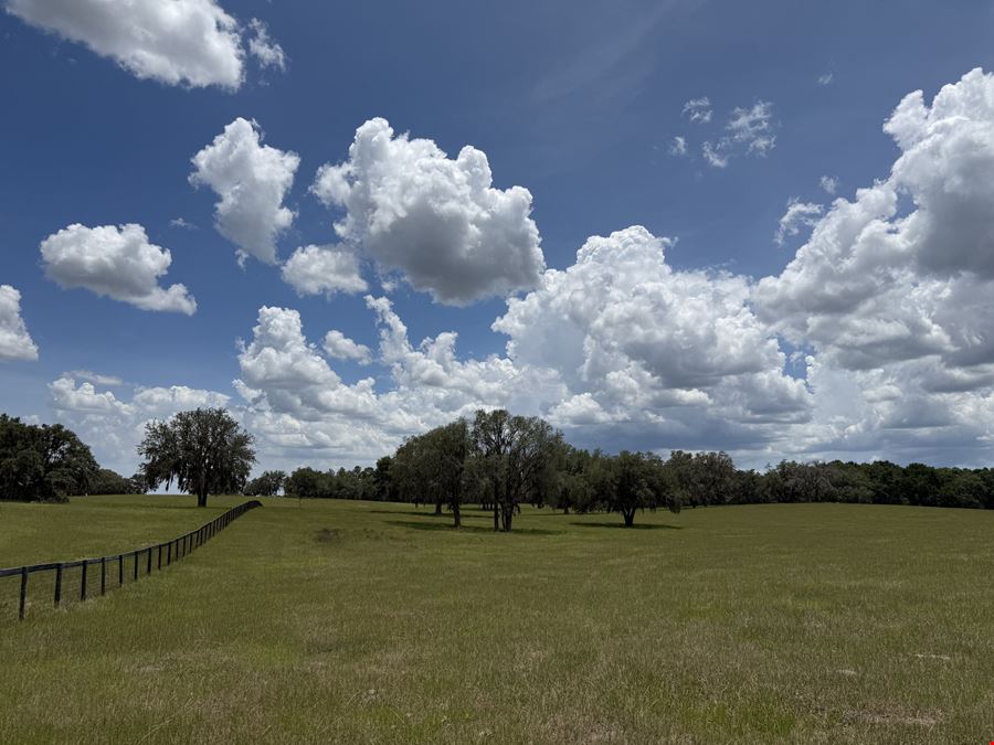 72± Acre Marion County Ranchette