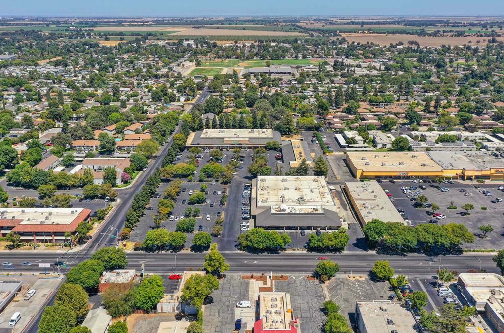 Shade Tree Plaza